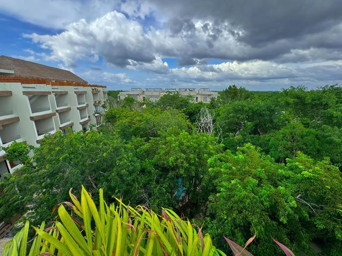 Charming One Bedroom Penthouse With Private Pool By Sandy Powerful Tulum Apartment