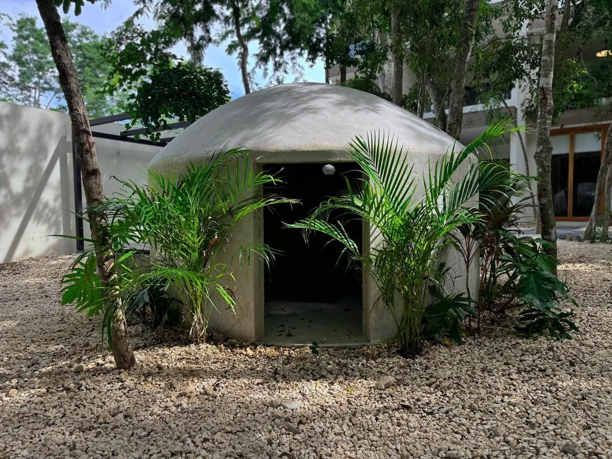 Charming One Bedroom Penthouse With Private Pool By Sandy Powerful Tulum Apartment